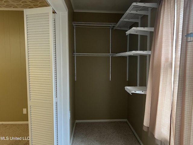 2 Concord Pl, Gulfport, MS 39507 - walk in closet featuring carpet