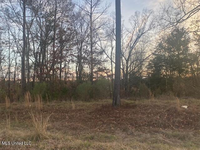 213 Hidden Creek Cir, Ridgeland MS, 39157 land for sale