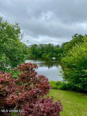 8102 Fairway Villa Dr, Gautier, MS 39553 - water view featuring a forest