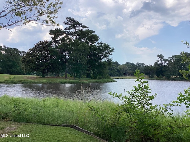 8102 Fairway Villa Dr, Gautier, MS 39553 - water view