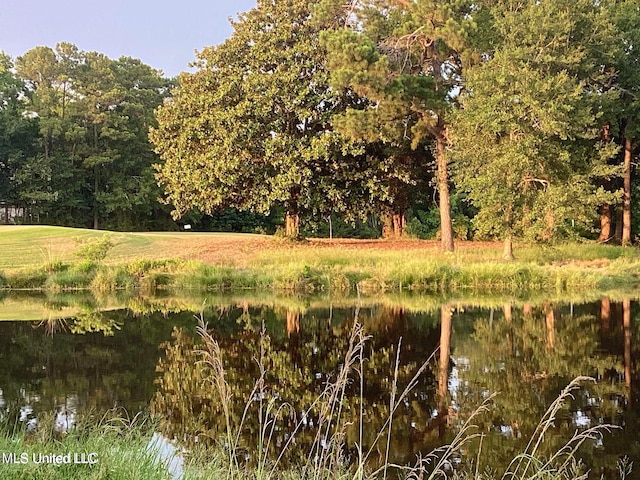 8102 Fairway Villa Dr, Gautier, MS 39553 - view of undeveloped land featuring a nearby body of water