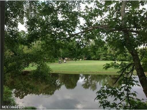 8102 Fairway Villa Dr, Gautier, MS 39553 - water view with a local golf course
