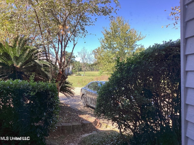 8102 Fairway Villa Dr, Gautier, MS 39553 - view of yard