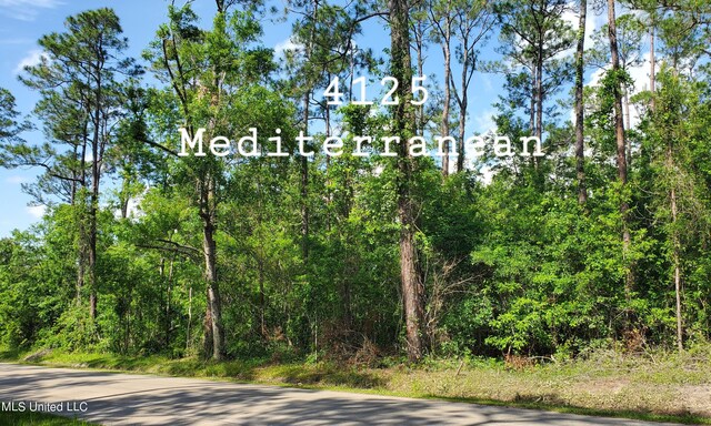 4125 Mediterranean St, Bay Saint Louis, MS 39520