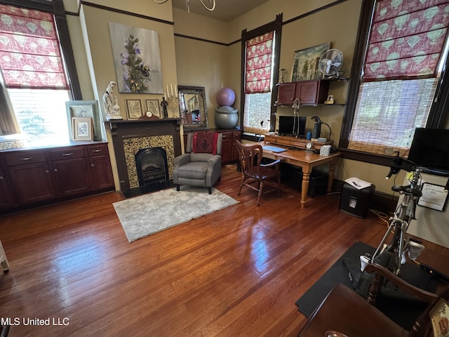 office space featuring wood finished floors