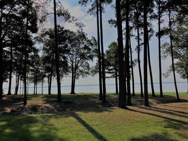 238 Lemoyne Blvd, Madison, MS 39110