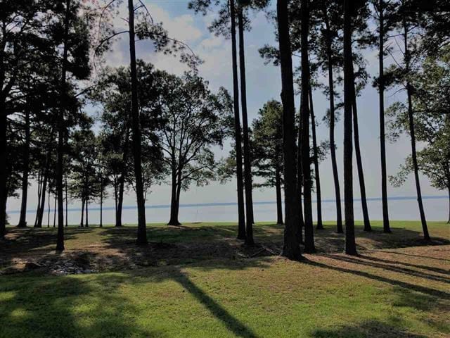 Listing photo 3 for 238 Lemoyne Blvd, Madison MS 39110