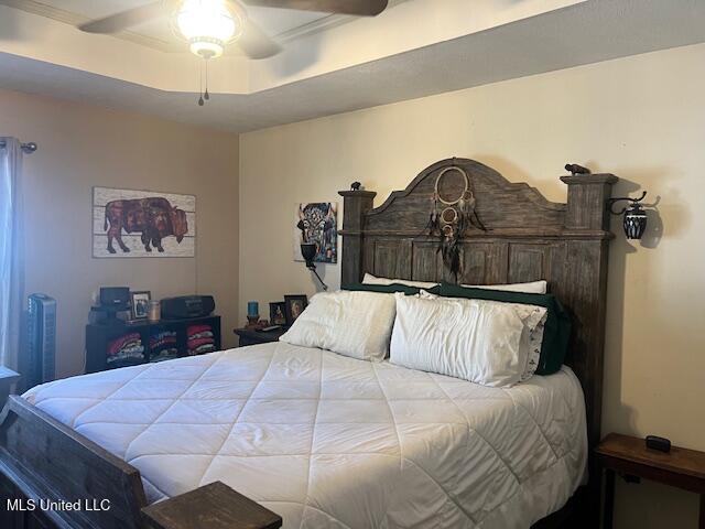 bedroom with a raised ceiling and ceiling fan