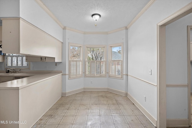 unfurnished dining area featuring a sink, baseboards, a textured ceiling, and crown molding