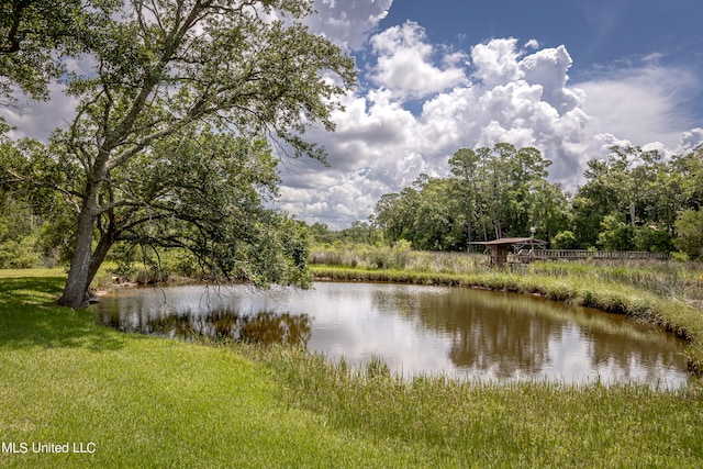 property view of water