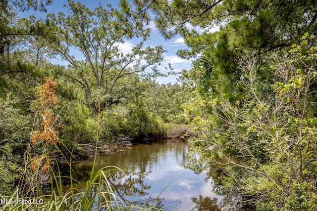 property view of water