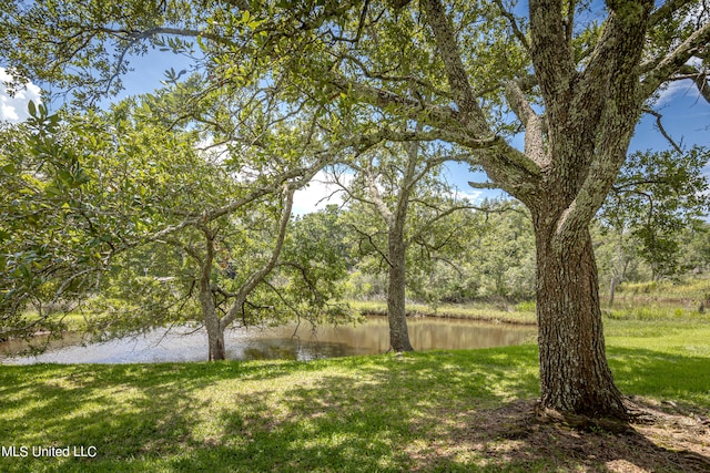 view of yard featuring a water view