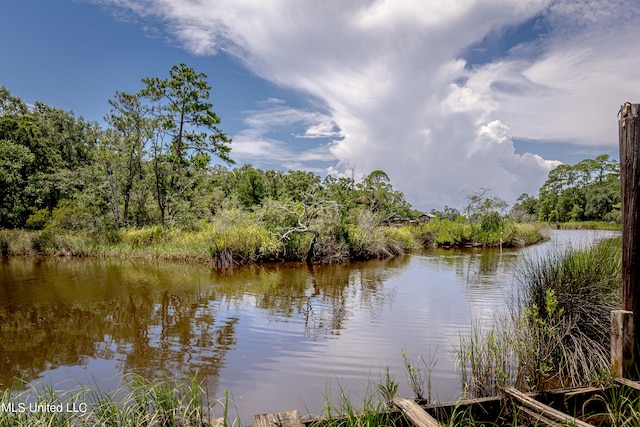 property view of water