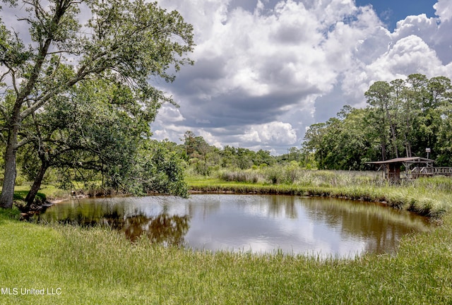 property view of water