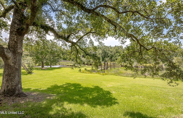 view of yard featuring a water view