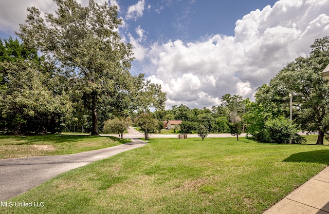 view of community with a lawn