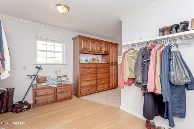 spacious closet featuring light wood-type flooring