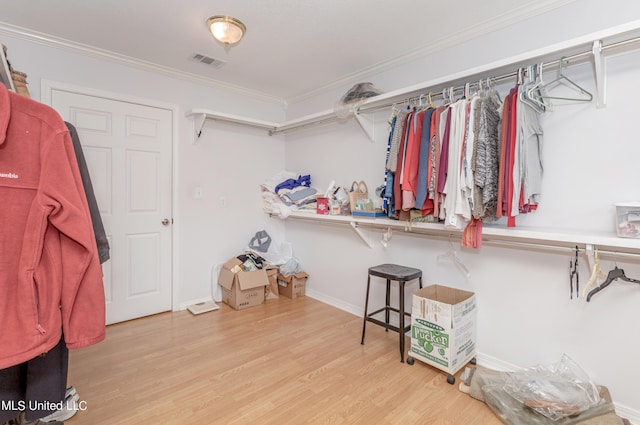 walk in closet with light hardwood / wood-style flooring