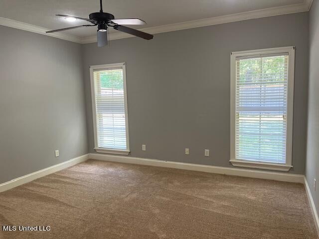 carpeted empty room featuring crown molding, ceiling fan, and plenty of natural light