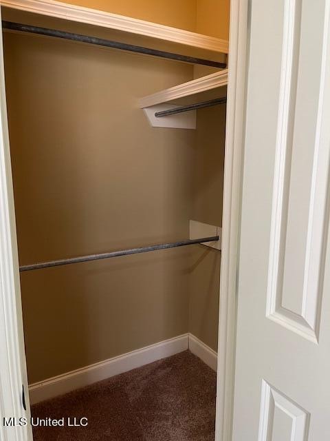 view of closet