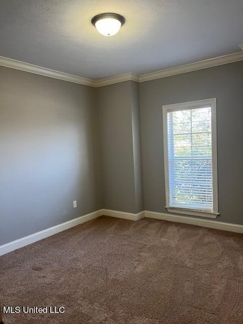 empty room with crown molding, a textured ceiling, and carpet floors