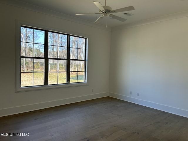 unfurnished room with ceiling fan, plenty of natural light, and crown molding