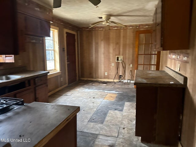 kitchen with a sink and a ceiling fan