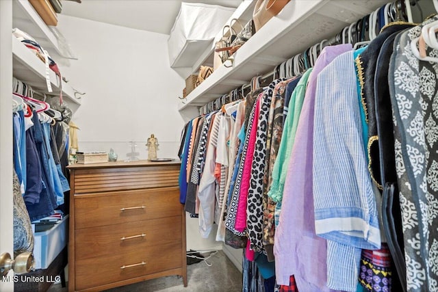 spacious closet featuring carpet