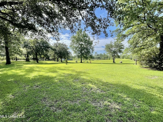24000 Robert E Lee Rd, Lucedale, MS 39452 - view of grassy yard