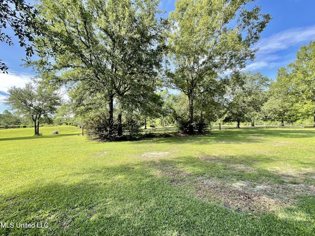 24000 Robert E Lee Rd, Lucedale, MS 39452 - view of yard
