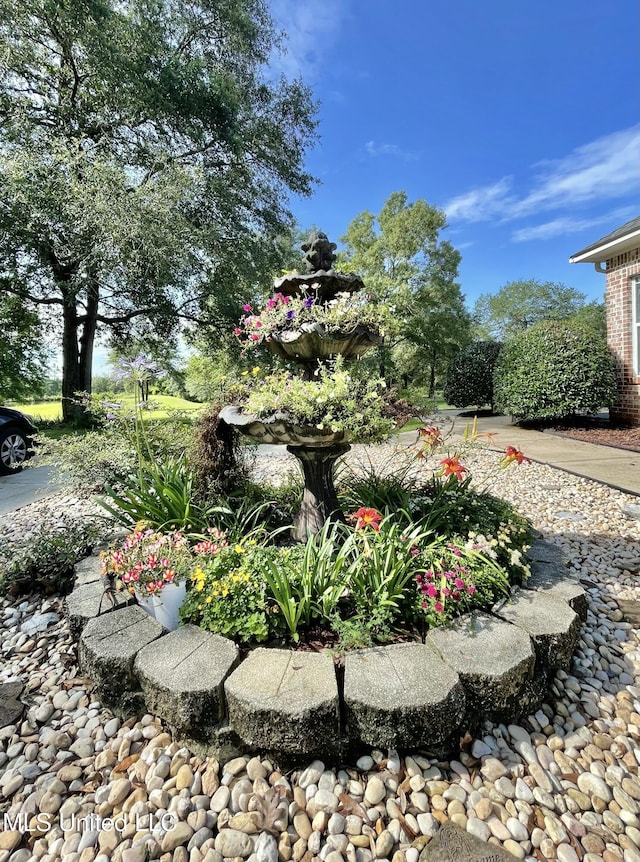 24000 Robert E Lee Rd, Lucedale, MS 39452 - view of yard