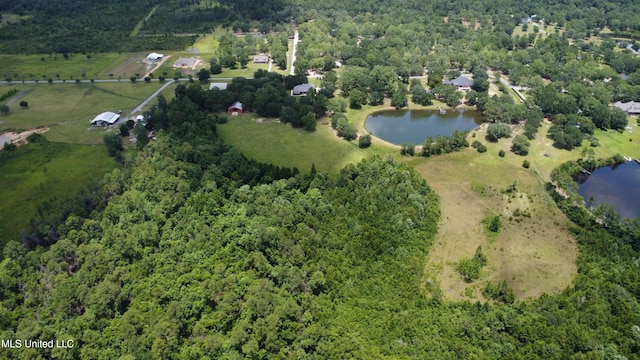 24000 Robert E Lee Rd, Lucedale, MS 39452 - aerial overview of property's location with a large body of water