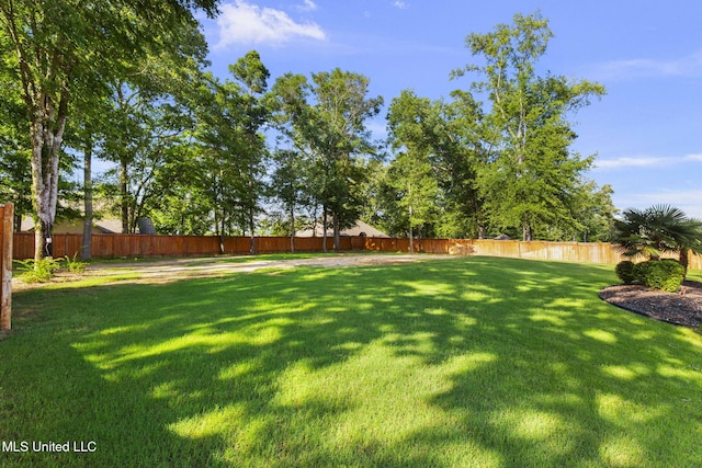120 Saddlebrook Cv, Madison, MS 39110 - view of fenced yard