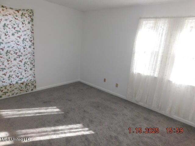 unfurnished room featuring carpet flooring