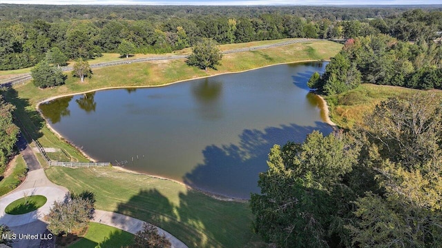 607 Tiffintown Rd, Vicksburg, MS 39183 - birds eye view of property featuring a view of trees and a water view