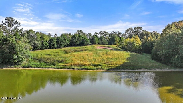 607 Tiffintown Rd, Vicksburg, MS 39183 - property view of water featuring a view of trees