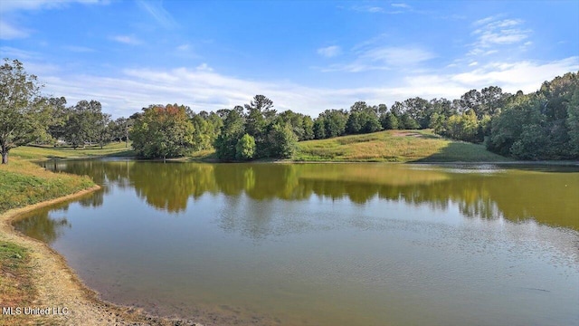 607 Tiffintown Rd, Vicksburg, MS 39183 - property view of water featuring a forest view