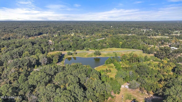 607 Tiffintown Rd, Vicksburg, MS 39183 - aerial view with a forest view and a water view