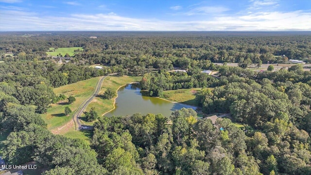 607 Tiffintown Rd, Vicksburg, MS 39183 - aerial view featuring a forest view and a water view