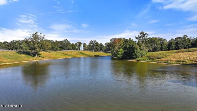607 Tiffintown Rd, Vicksburg, MS 39183 - view of water feature with a forest view