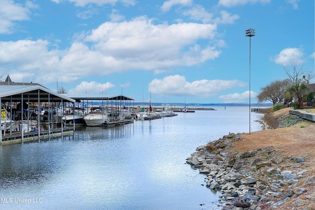 dock area with a water view