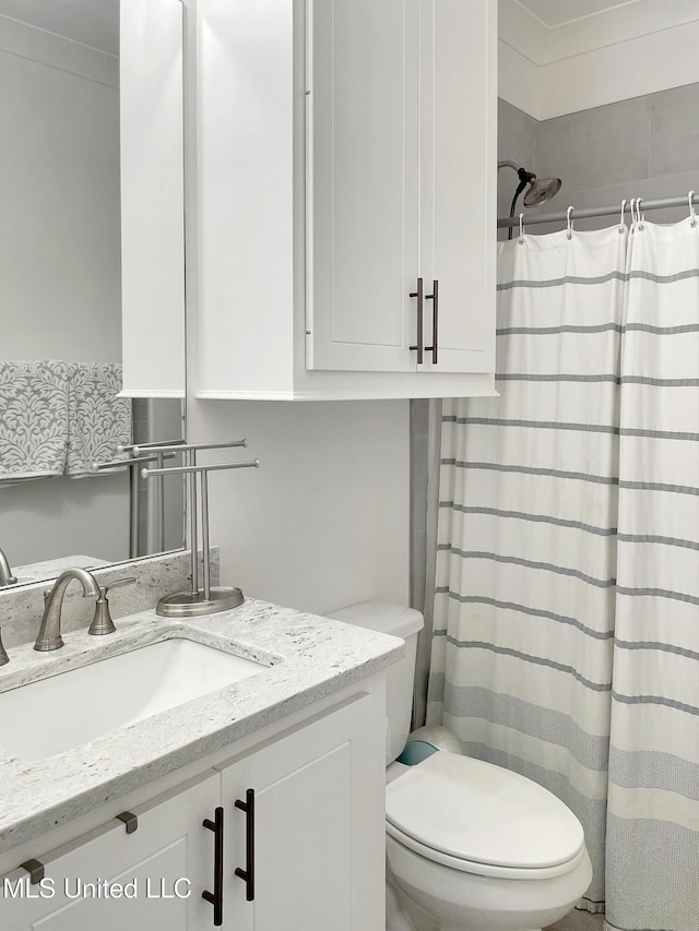 bathroom featuring vanity, a shower with curtain, and toilet