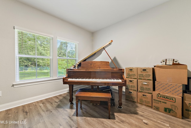 misc room featuring hardwood / wood-style floors