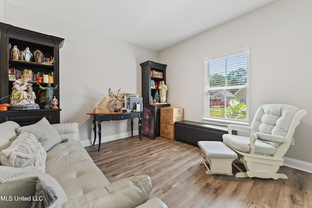 living room featuring wood-type flooring