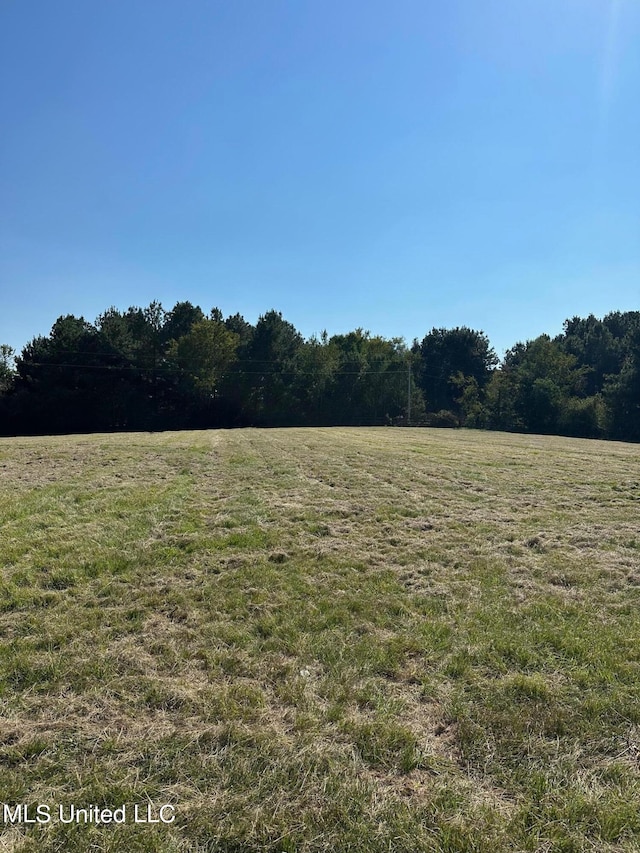 view of yard with a rural view