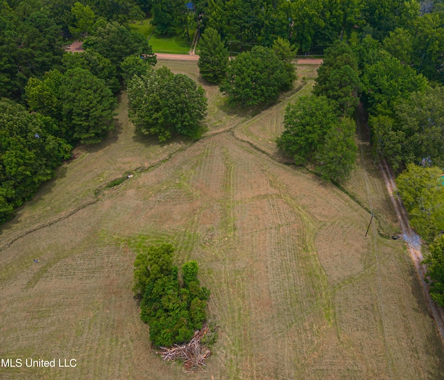 bird's eye view featuring a rural view