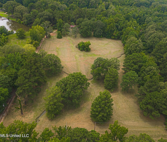 birds eye view of property featuring a water view and a rural view