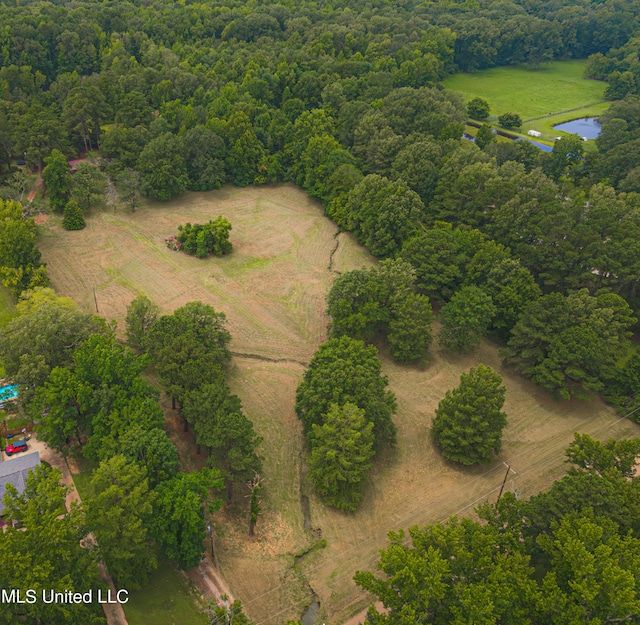 bird's eye view featuring a water view and a rural view