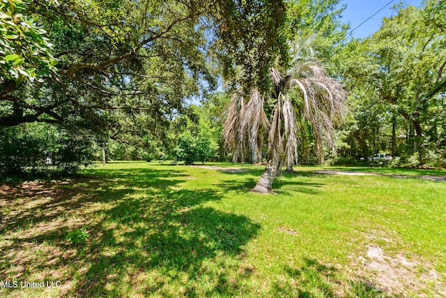 390 Clarence Ave, Pass Christian, MS 39571
