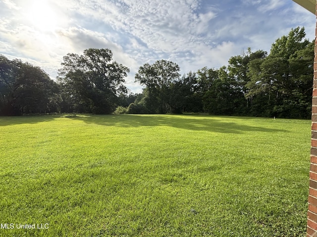 8 Jennie Ln, Picayune, MS 39466 - view of green lawn with view of wooded area